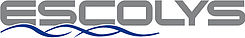 Логотип Escolys