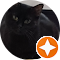 Наталья Морозова