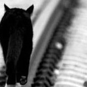 Евгений  А.