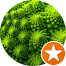 Фрактал Fractal