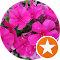 Bалерия К