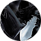 Scrutator Net