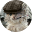 алексей голубков