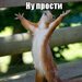 Андрей Трофимов