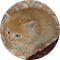 Сергей Нестеров