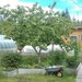 Ириночка Картиночка