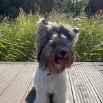 Алексей Сизов