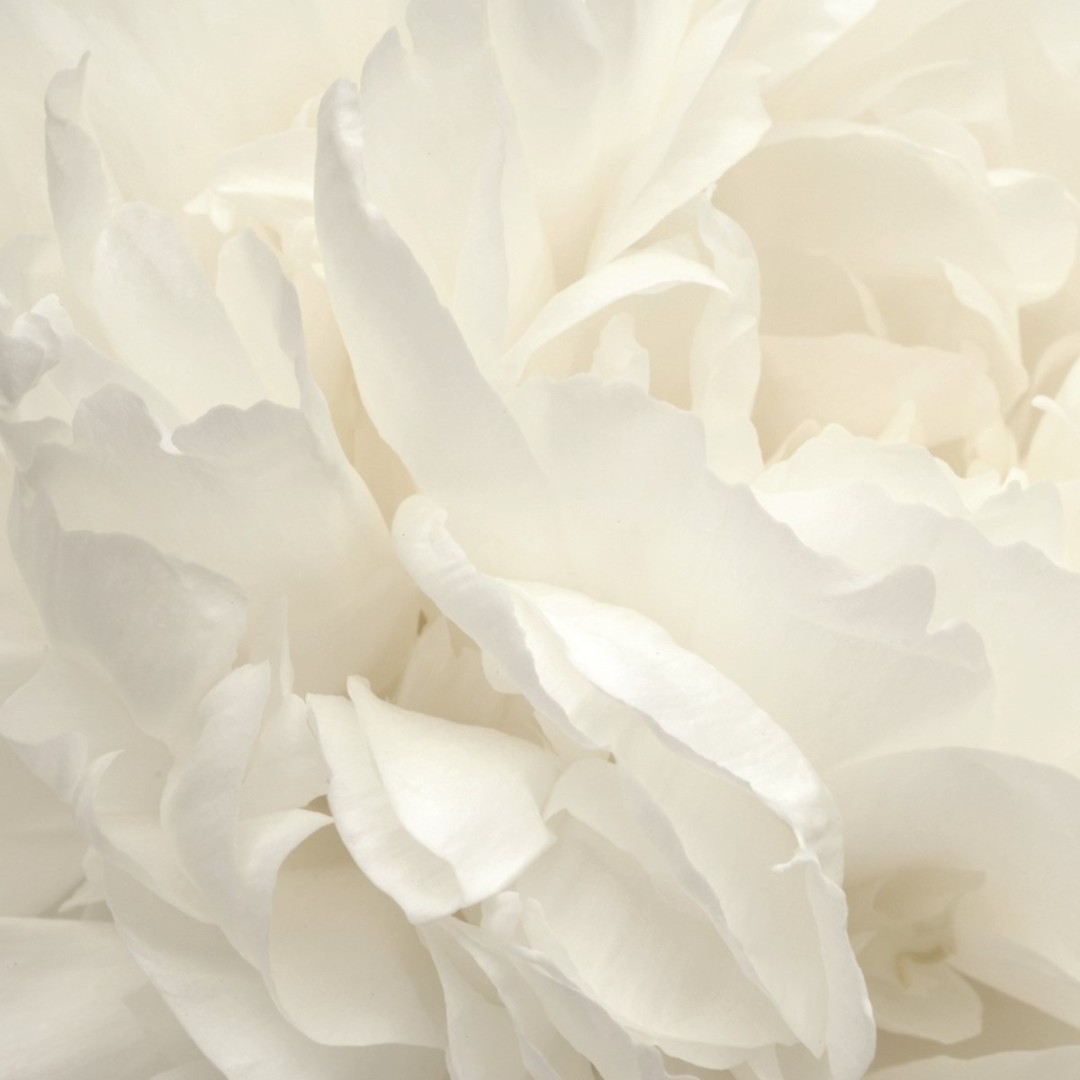 Панно Aura арт G78424 фото 1