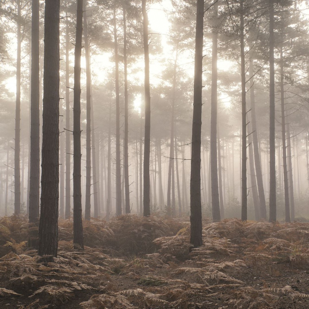 Панно Aura арт G78426 фото 1