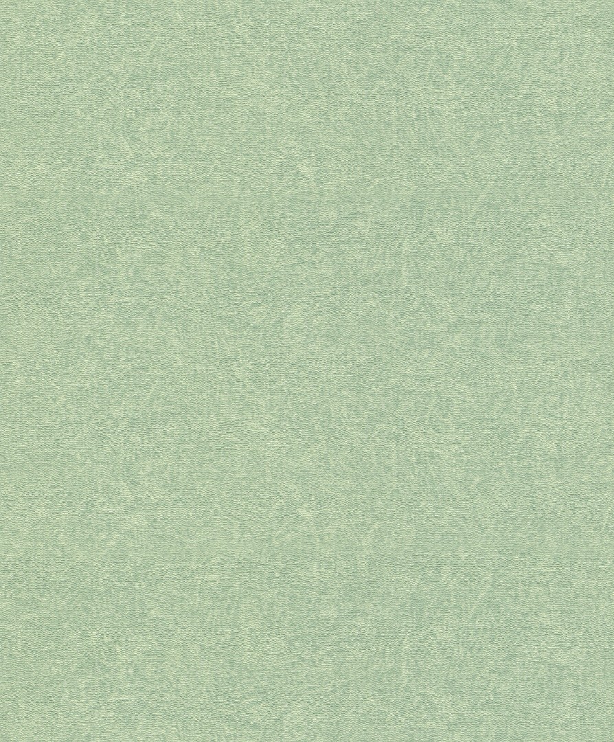 Обои Rasch арт 554472 фото 1