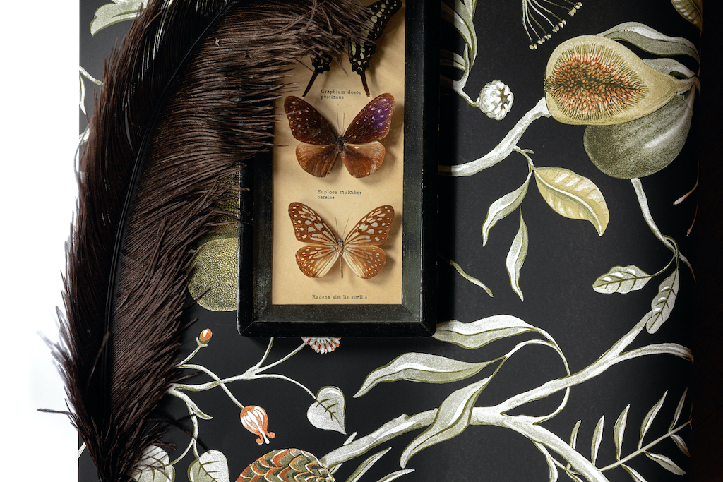 Обои Khroma арт CAB605 фото 2