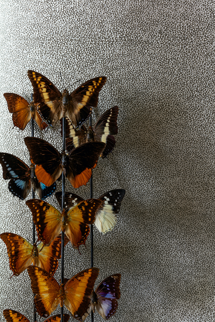 Обои Khroma арт CAB901 фото 2