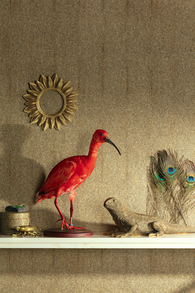 Обои Khroma арт CAB904 фото 2