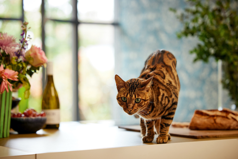 Обои A.S.Creation арт 38707-3 фото 9