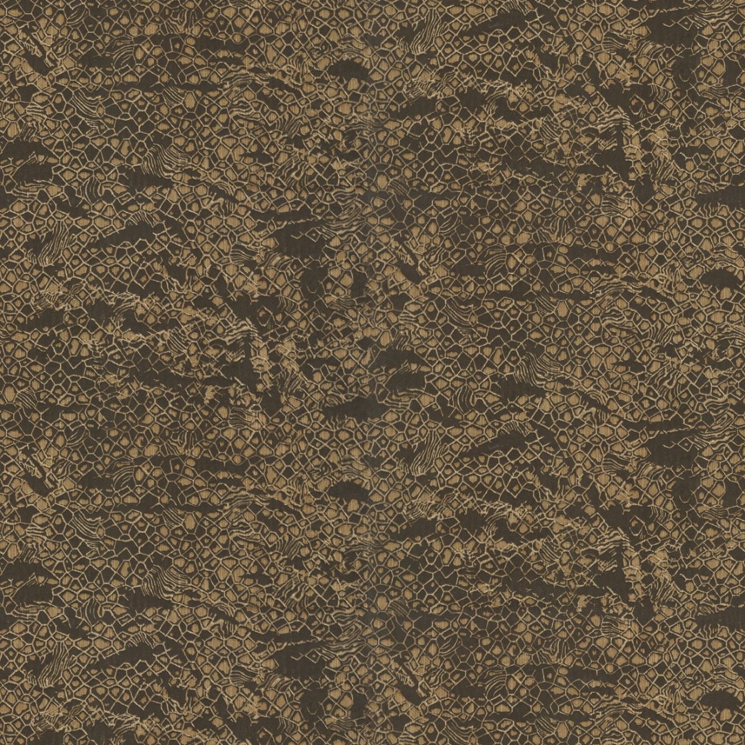 Обои Roberto Cavalli арт 19040 фото 1