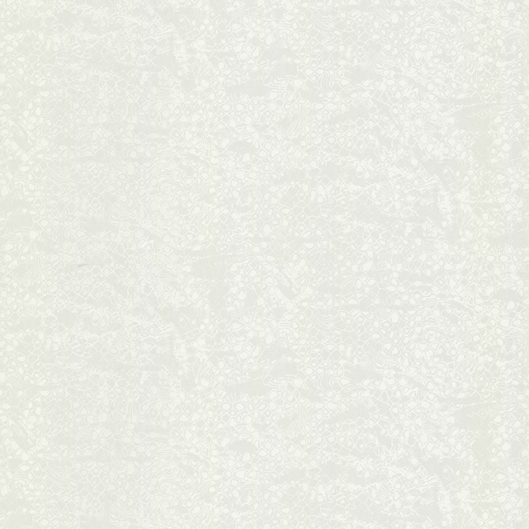 Обои Roberto Cavalli арт 19039 фото 1