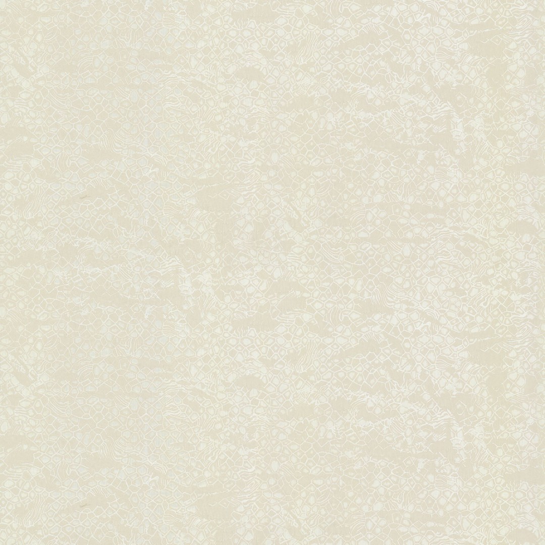 Обои Roberto Cavalli арт 19037 фото 1