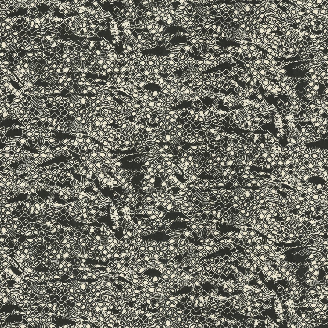 Обои Roberto Cavalli арт 19036 фото 1