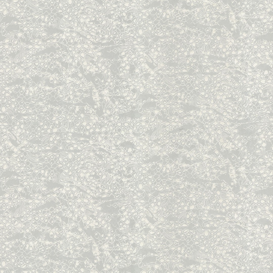 Обои Roberto Cavalli арт 19034 фото 1