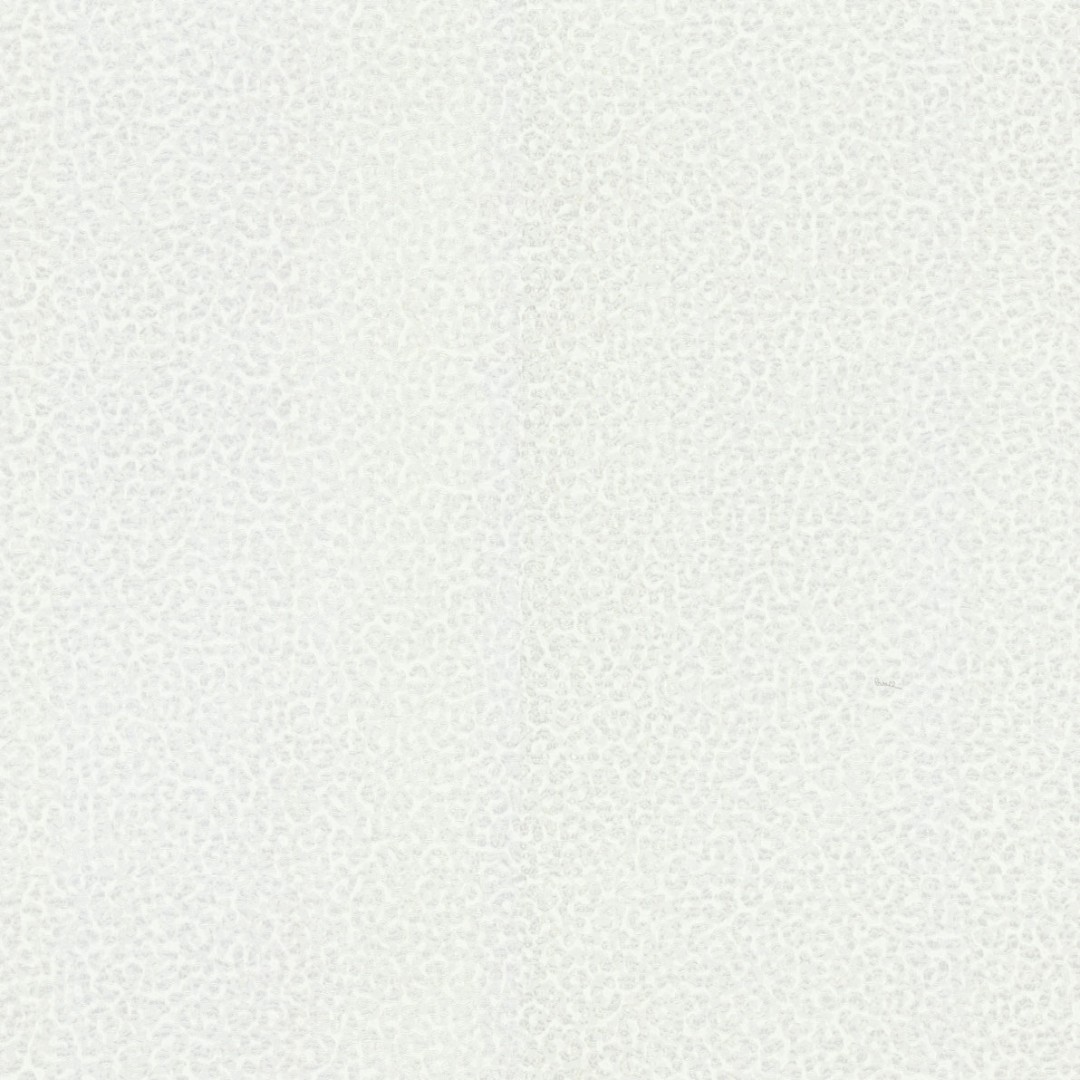 Обои Roberto Cavalli арт 19020 фото 1