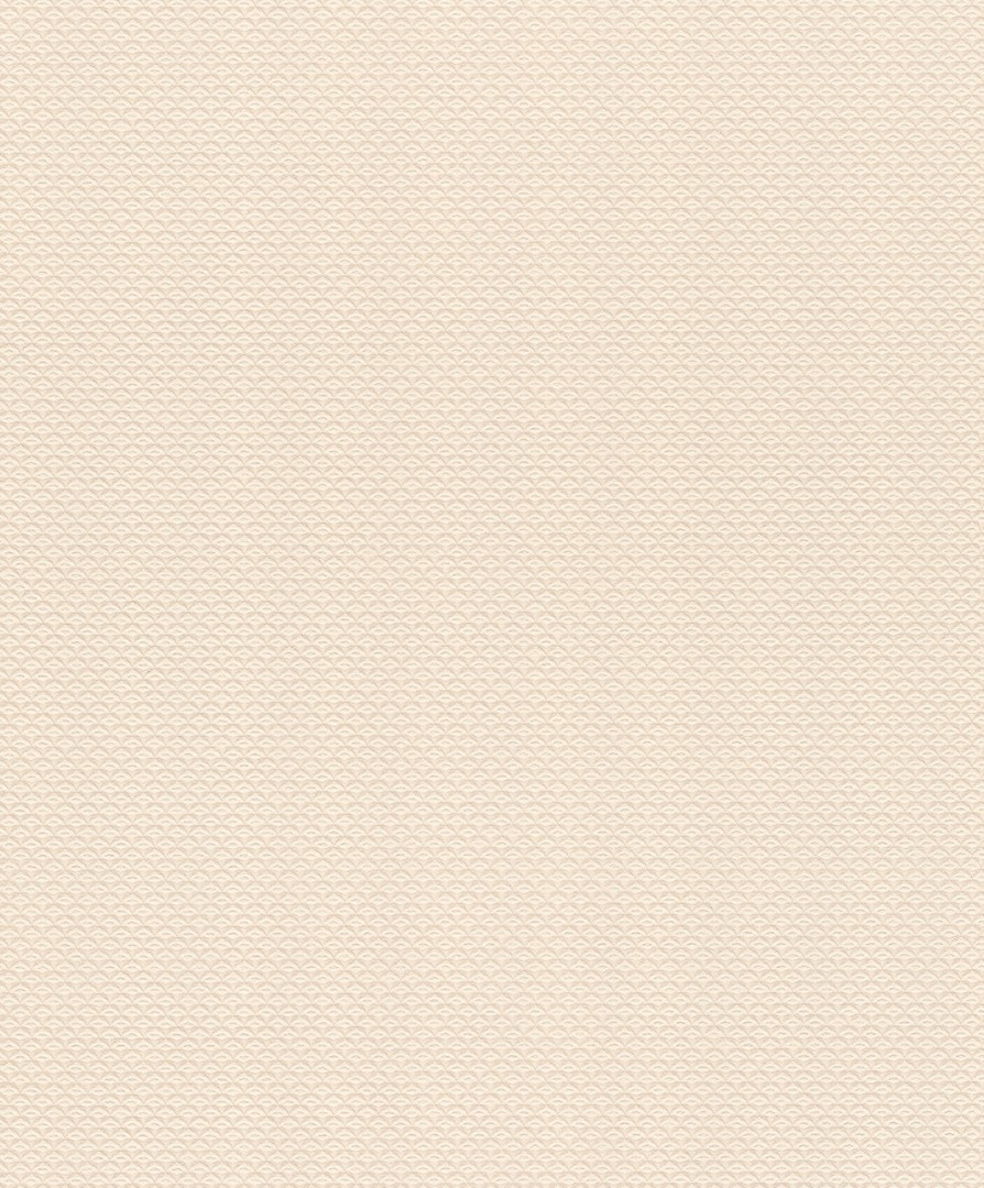 Обои Rasch арт 570243 фото 1
