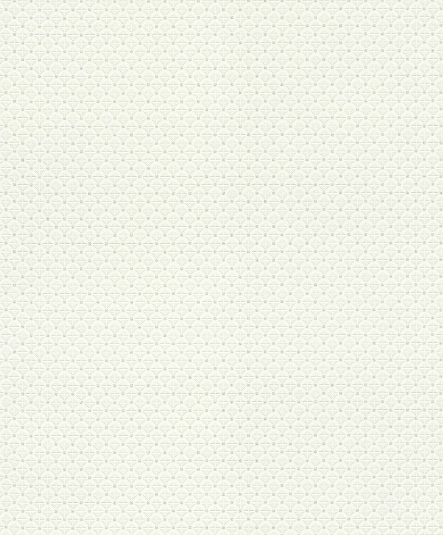 Обои Rasch арт 506761 фото 1