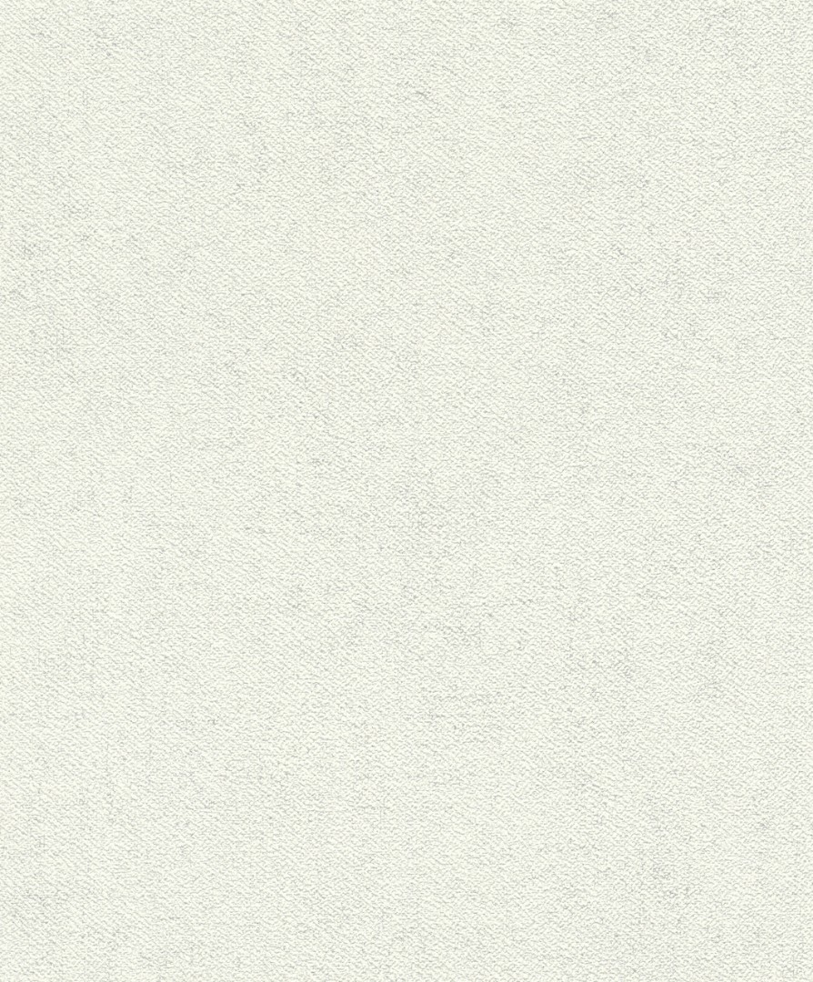 Обои Rasch арт 507041 фото 1