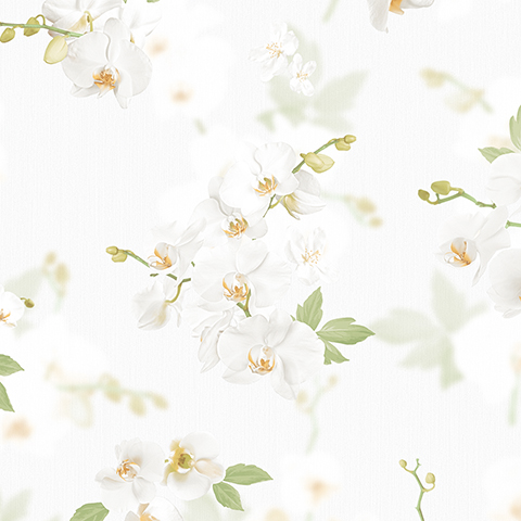 Обои Andrea Rossi арт 54342-1 фото 1