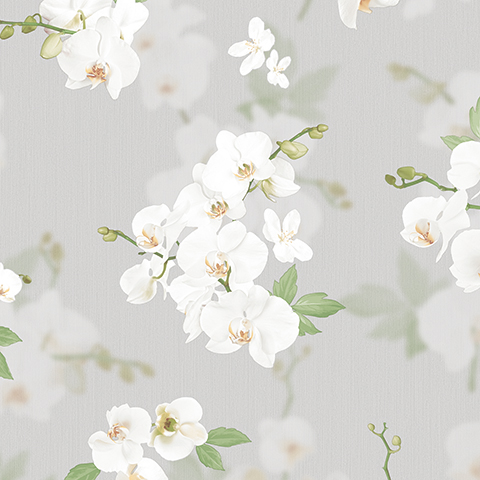 Обои Andrea Rossi арт 54342-5 фото 1