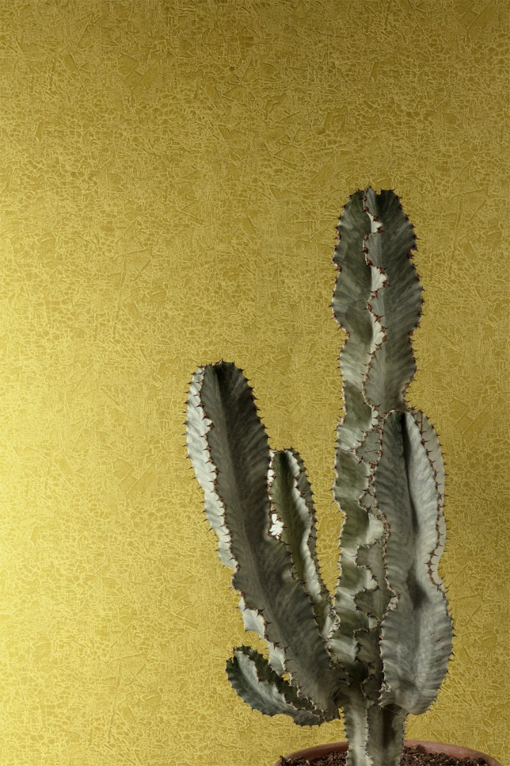 Обои Khroma арт HAV1003 фото 3