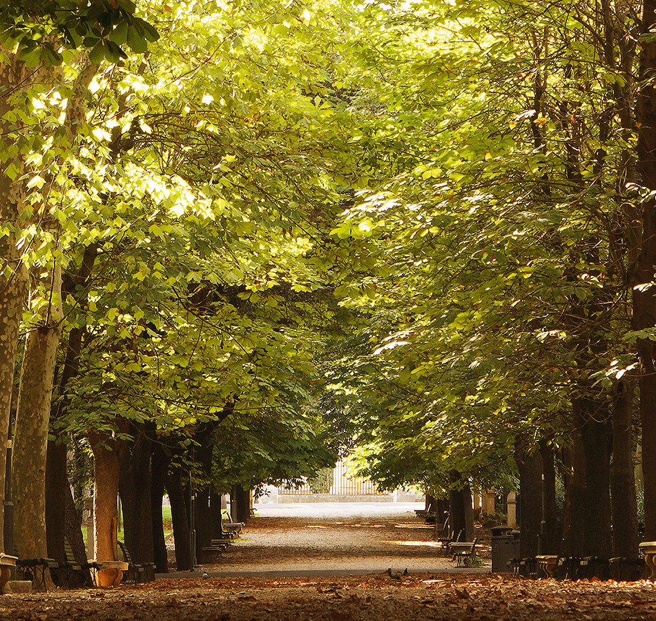 Панно Loymina арт DS 012 фото 1