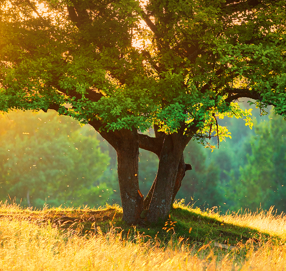 Панно Loymina арт DS 014 фото 1