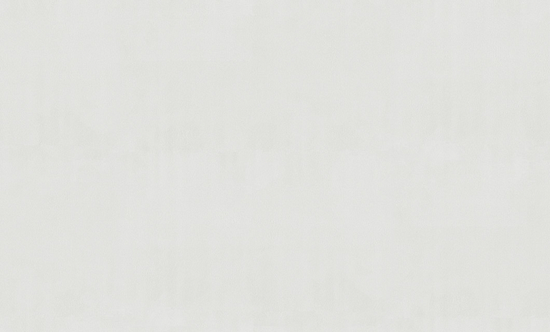 Обои Palitra Simple арт SP71928-41 фото 1