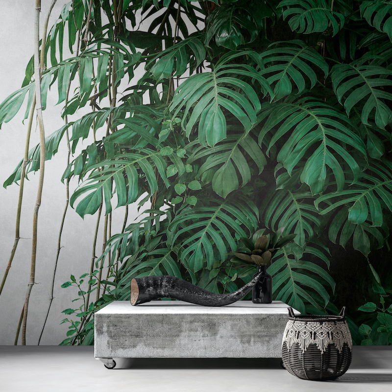 Фотообои A.S.Creation арт 38241-1 фото 3