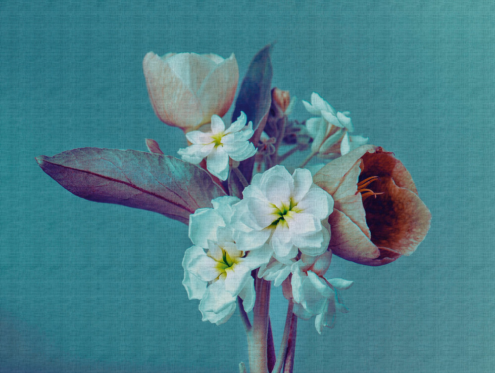 Фотообои A.S.Creation арт 38269-1 фото 1