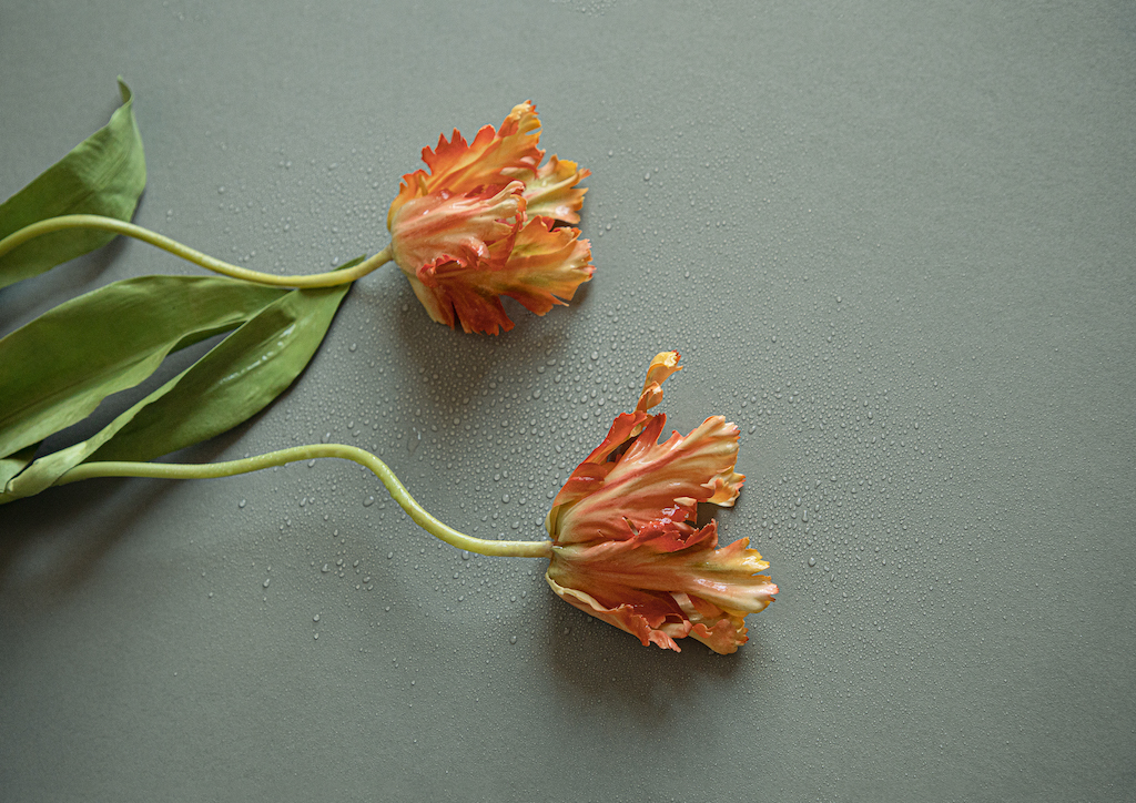 Обои Loymina арт BRIT13 008 фото 2