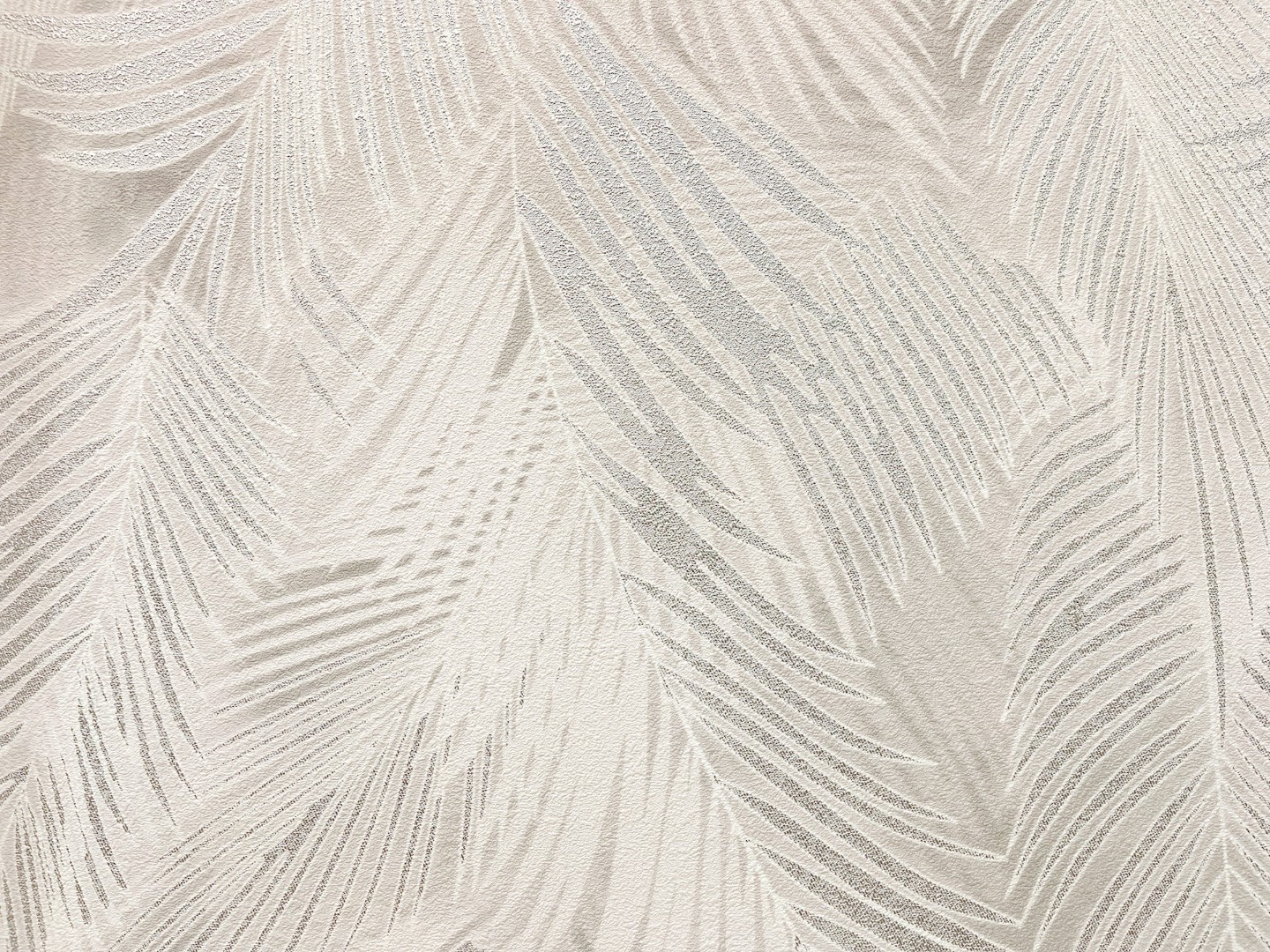 Обои Solo арт E200802 фото 1