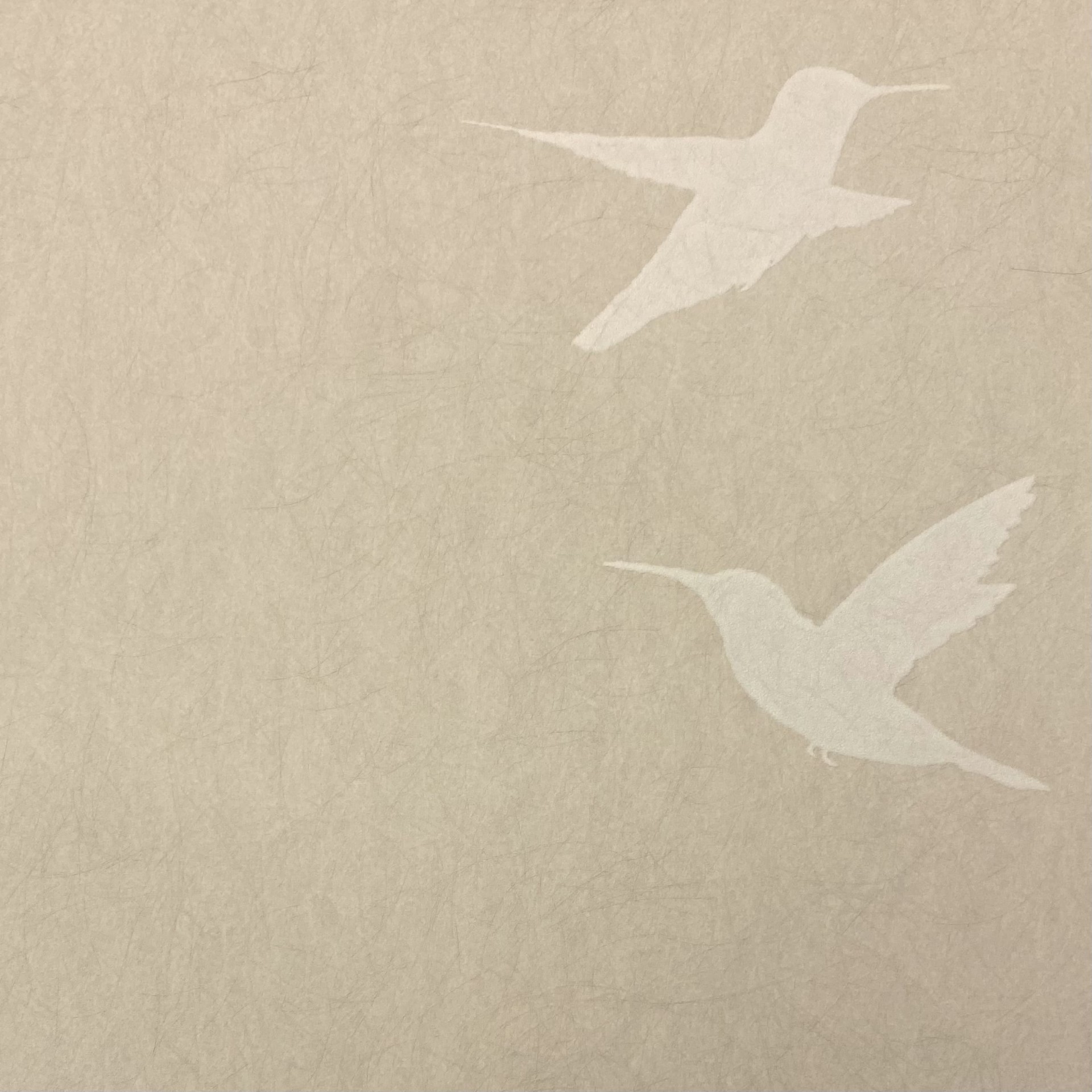 Обои Bernardo Bartalucci арт 5071-2 фото 1