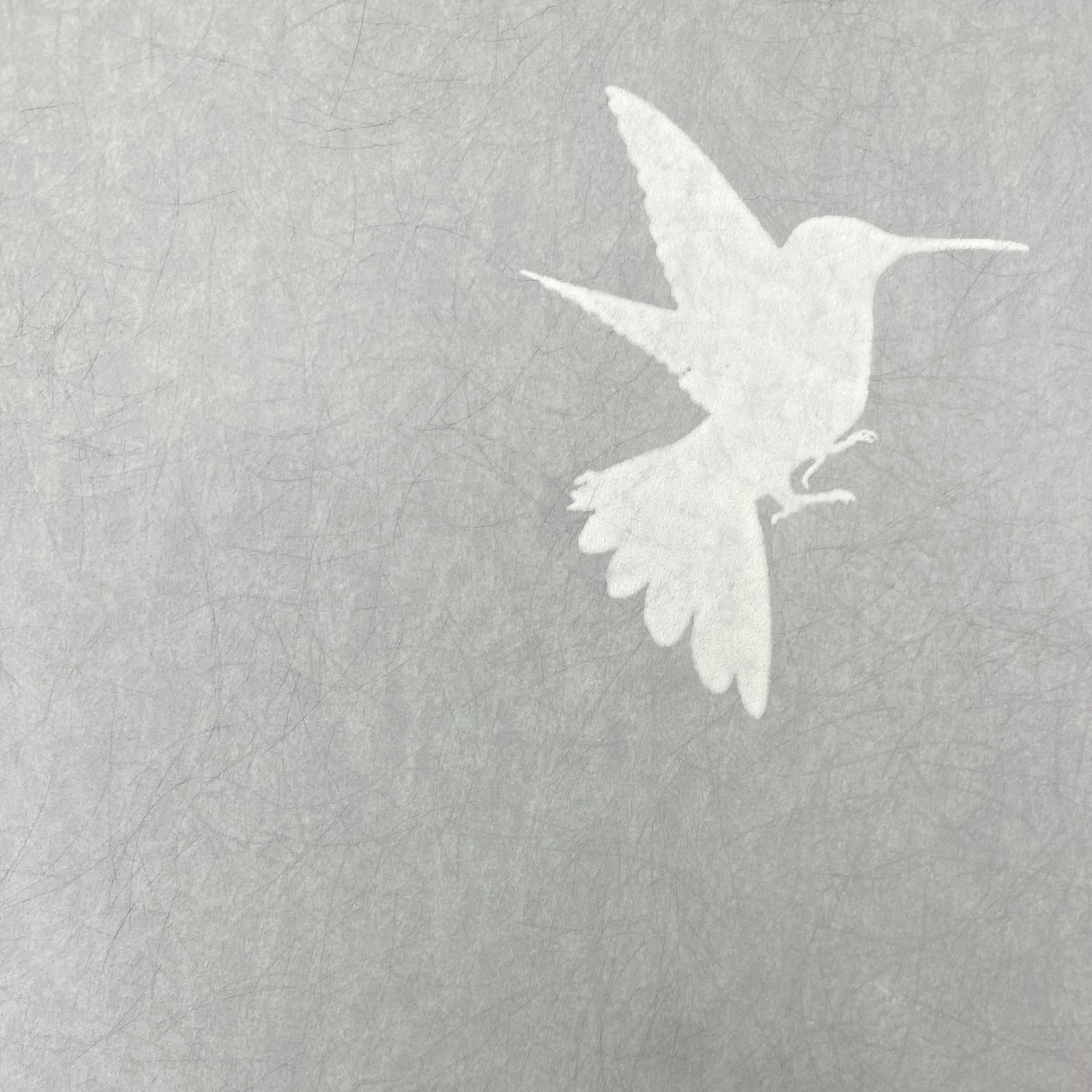 Обои Bernardo Bartalucci арт 5071-7 фото 1