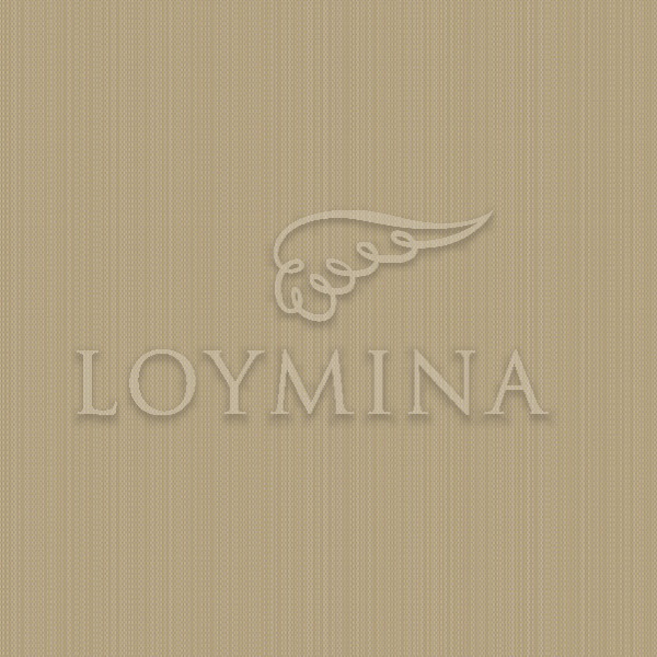 Обои Loymina арт Jet2 004/1 фото 1