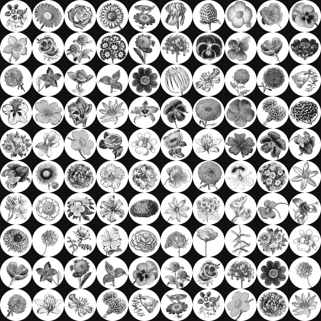 Фрески Ortograf арт 30002 фото 1