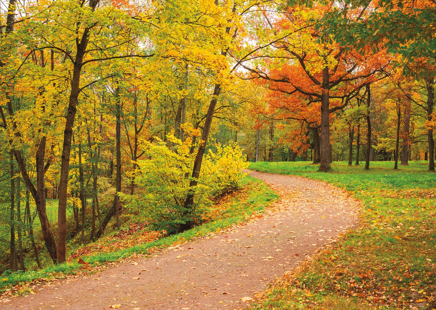 Фрески Ortograf арт 30031 фото 1