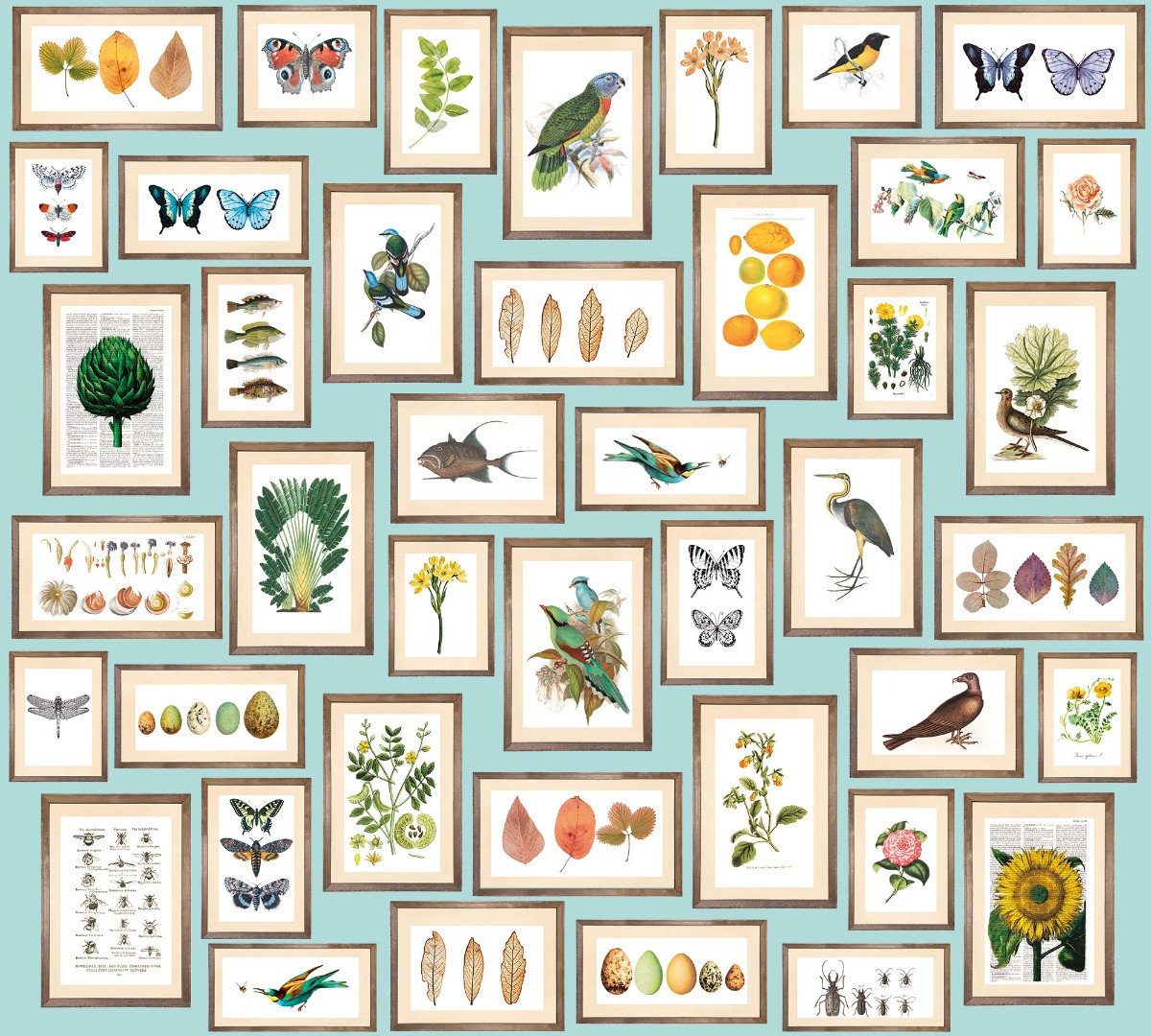 Фрески Ortograf арт 30242 фото 1