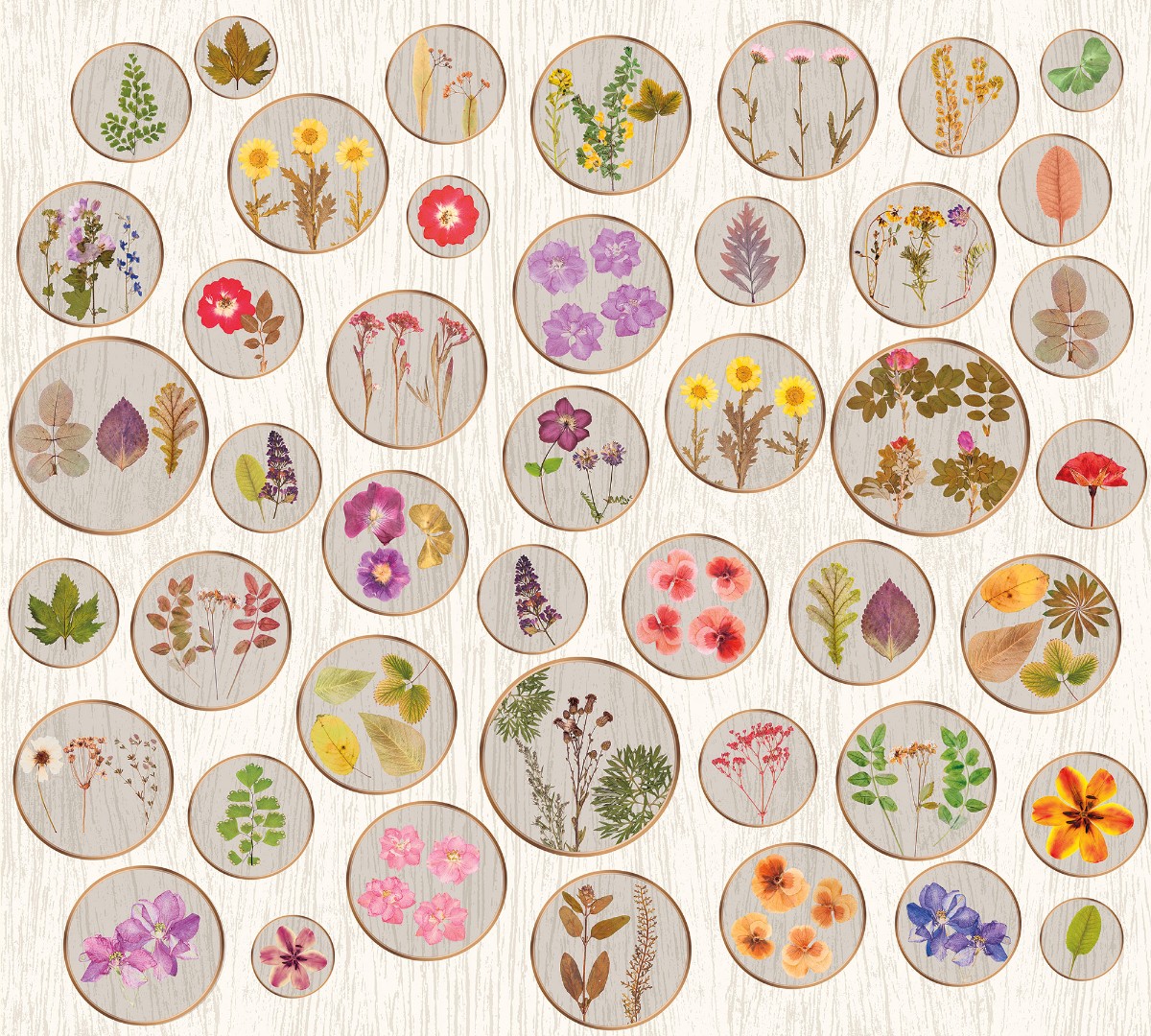 Фрески Ortograf арт 30243 фото 1