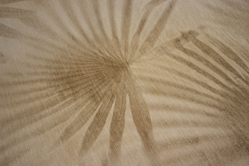 Обои Decori Decori арт 72908 фото 2