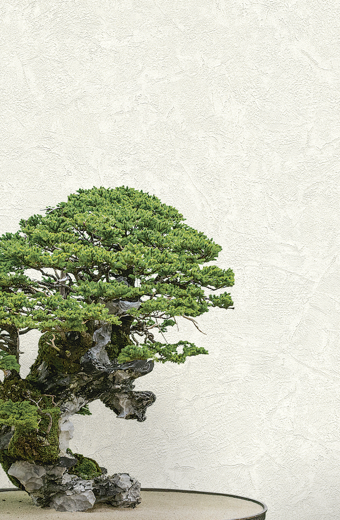 Обои Decori Decori арт 72965 фото 3