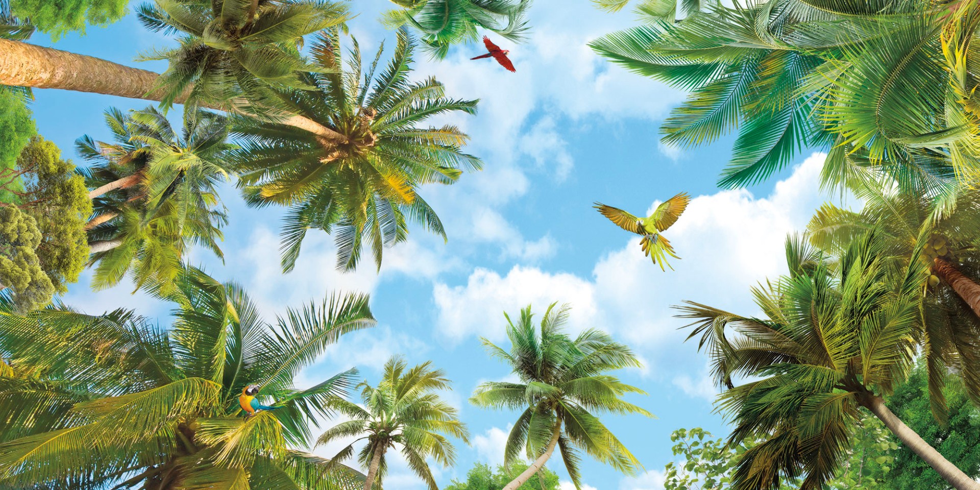 Фрески Ortograf арт 30399 фото 1