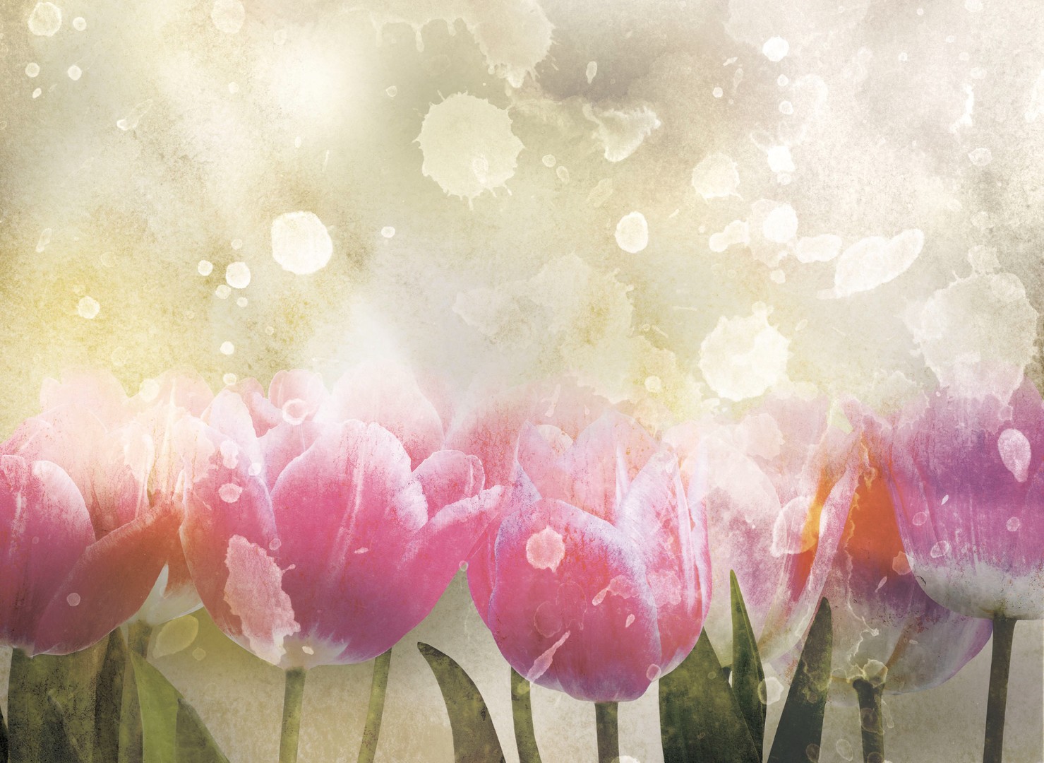 Фрески Ortograf арт 30562 фото 1