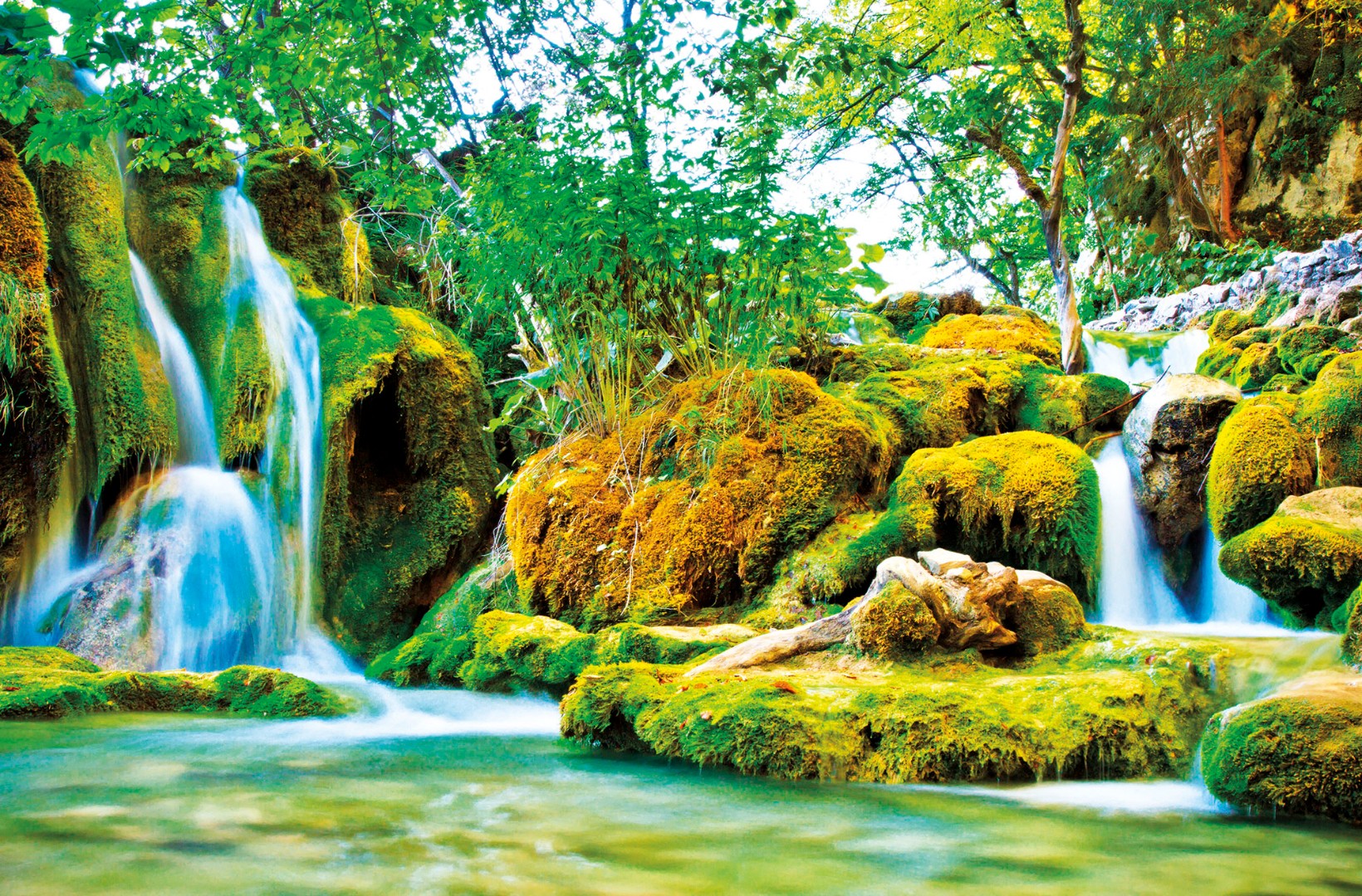 Фрески Ortograf арт 30630 фото 1