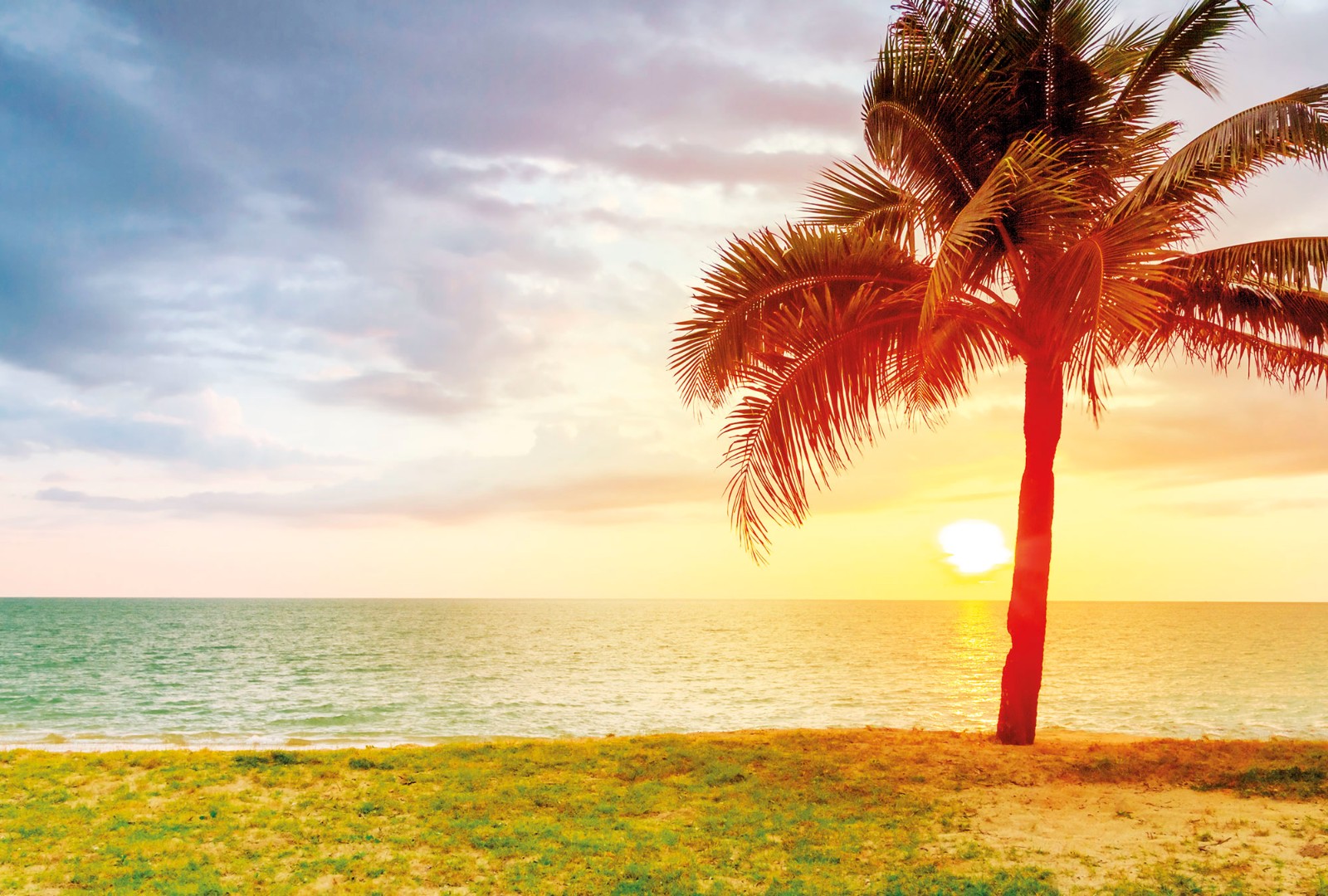 Фрески Ortograf арт 30644 фото 1